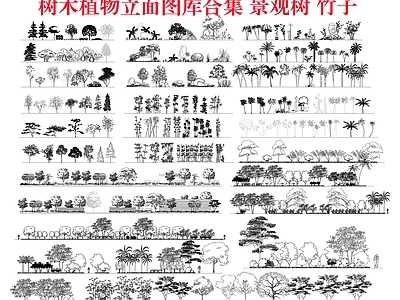 现代综合植物图库 植物立面图库 树木 植物组合 施工图