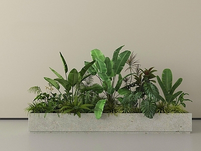 现代简约植物组合 现代绿植花箱