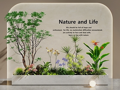 现代室内景观 室内景观 植物堆 景观造景 庭院景观 植物组合