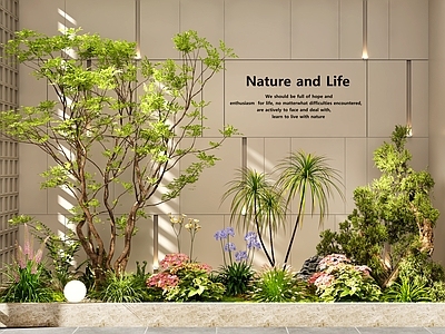 新中式景观室内景观 室内景观  庭院景观  花坛花池  植物组合  景观造景