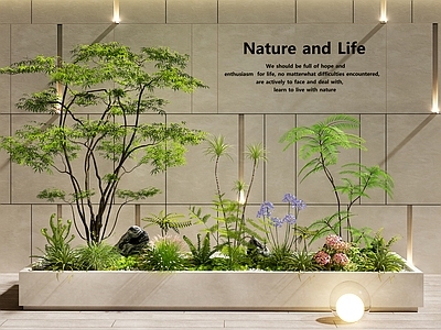现代简约室内景观 室内景观  庭院景观  花坛花池  植物组合  景观造景
