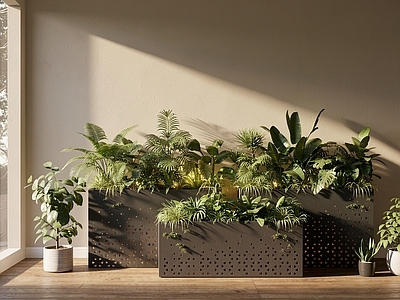 现代简约植物组合 现代花箱   网红花箱