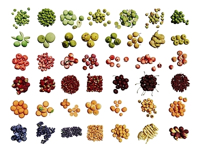 写实主义水果蔬菜 现代水果 生鲜水果 果盘  水果组合