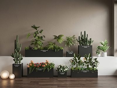 现代简约植物组合 现代花箱    网红花箱