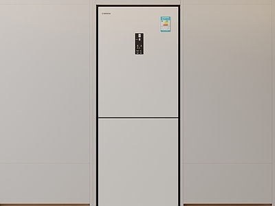 现代简约冰箱 现代双开门冰箱 简约冰箱柜 中古冰箱 意式冰箱 厨房电器