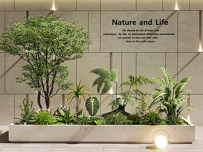 现代简约室内景观 室内景观  植物造景 景观树  植物花草组合 植物堆