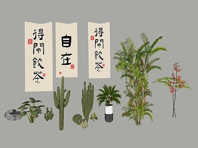 新中式植物组合 植物组合 摆盆 茶馆 氛围 仙人掌