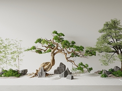 日式禅意植物堆 新中式松树景观 枯山水 灌木组合 庭院景观 广场景观