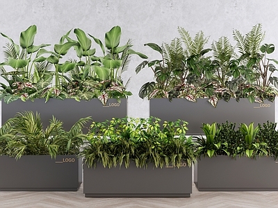 现代简约植物组合 景观植物盆栽盆景 灌木花草组合 庭院植物景观 悬挂垂吊植物 花卉花镜花坛花钵