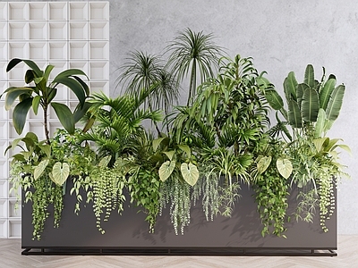 现代简约植物组合 景观植物盆栽盆景 灌木花草组合 庭院植物景观 悬挂垂吊植物 花卉花镜花坛花钵