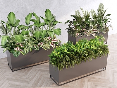 现代简约植物组合 景观植物盆栽盆景 灌木花草组合 庭院植物景观 悬挂垂吊植物 花卉花镜花坛花钵