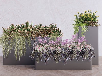 现代简约植物组合 景观植物盆栽盆景 花箱花卉花镜花钵 灌木花草组合  庭院植物景观  悬挂垂吊植物
