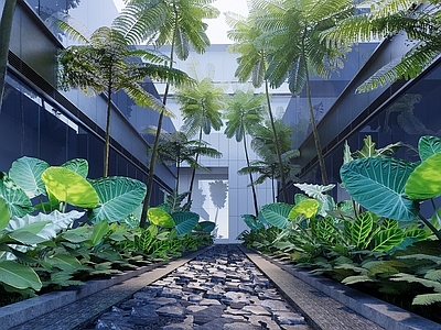 现代主义办公园区景观 办公园区空间 阴生花境植物 粘叶豆象耳芋 高分枝点大树