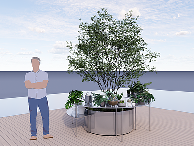 现代简约植物组合 植物 端景 盆栽