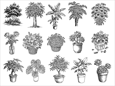 现代绿植 绿植盆栽 施工图