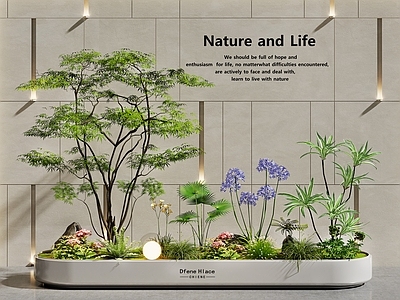 现代简约花境 植物景观 室内景观  植物花草组合  植物堆  花坛花池