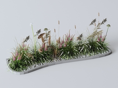 现代简约花坛 芦苇狗尾草组合 植物堆