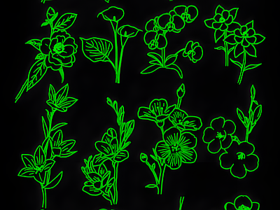 现代综合植物图库 花朵立面 施工图