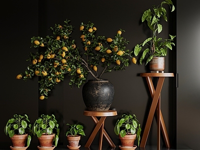 中古风盆栽 绿植 中古花架 现代花架 绿植花架 新中式花架