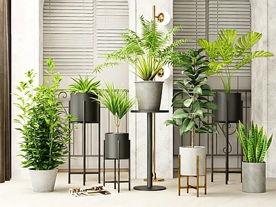 现代简约植物堆 植物堆 绿植摆件盆栽 室内植物盆栽 室内盆景盆栽