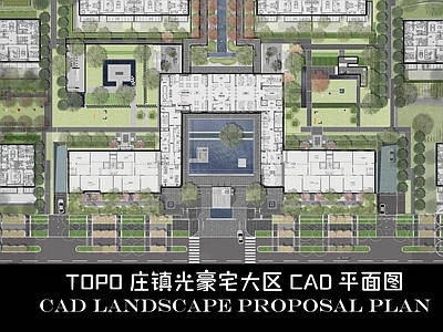 示范区景观 TOPO庄镇光 TOPO景观大区 永威豪宅景观大区 大师级景观大区 施工图