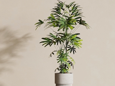 现代简约草本植物 现代绿植摆件