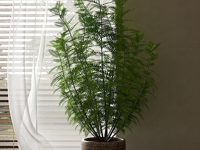 现代简约盆栽