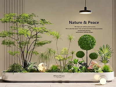 现代简约花境 景观造景 花箱花池 室内景观 景观树 庭院景观