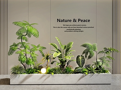 现代简约花箱 花箱花池  植物堆 庭院景观 植物组合 室内景观