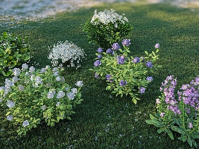 自然主义景观花草 花草花镜