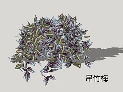 现代简约藤蔓 吊竹梅 紫罗兰