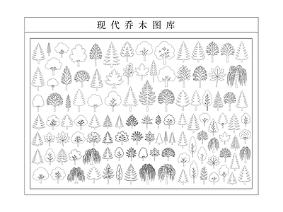 乔木种植 乔木 施工图