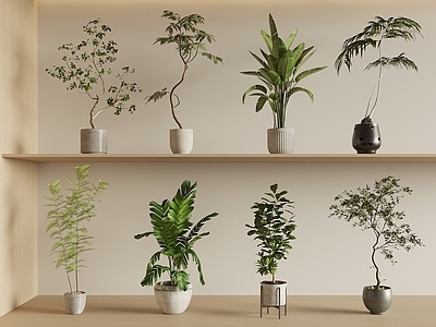 原木奶油风盆栽 现代绿植盆栽