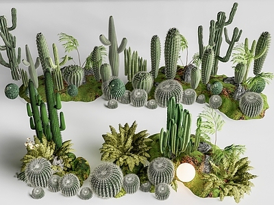 热带沙漠景观风沙漠植物 现代仙人掌组合 多肉植物  仙人球