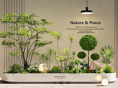 现代简约植物组合 室内景观 植物造景  景观树  植物花草组合 植物堆