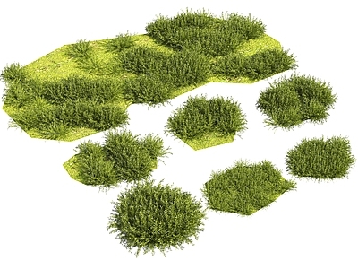 自然野趣风苔藓 苔藓 草地 地被 植物球 灌木