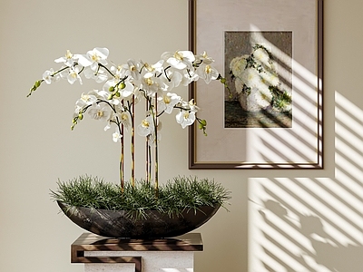 新中式花艺 兰花 水仙花 花艺