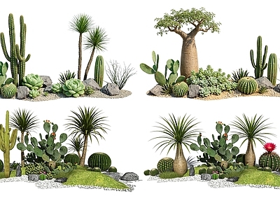 沙漠景观风格沙漠植物 2D仙人掌组合 多肉植物 仙人球 沙漠植物造景 景观植物