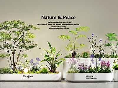 现代简约花境 花箱花坛   植物堆  花草组合  室内景观 植物组合
