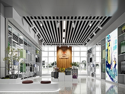 现代简约其他商业空间 箱包店展厅