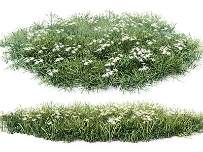 自然主义景观草本植物 植物花草地被 灌木丛组 花草花镜花坛花卉 杂草观赏草 草本植物
