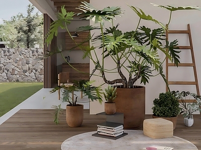 原木风植物组合 原木风植物堆  网红植物组合 春羽盆栽植物组合