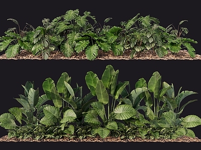热带植物景观植物组合 棕榈植物组合 灌木丛植物堆 乔木灌木组合  庭院绿植群组  热带植物