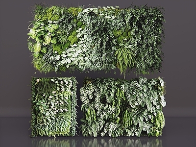 垂直绿化垂直绿化 2D藤蔓植物 绿植墙 现代绿植墙 爬藤植物