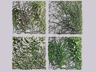 垂直绿化垂直绿化 2D藤蔓植物 绿植墙 现代绿植墙 爬藤植物 垂直绿化