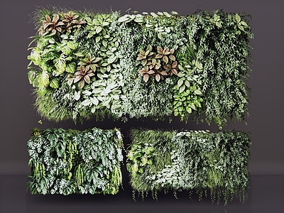 垂直绿化垂直绿化 2D藤蔓植物 绿植墙 现代绿植墙 爬藤植物 垂直绿化