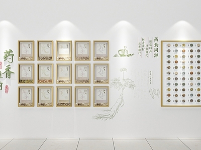 新中式文化墙 药材展墙 中医文化墙