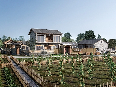 新中式民宿建筑 现代乡村民房 乡村建筑  民宿建筑  乡村院落