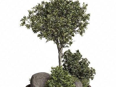 新中式景观其他景观小品 花艺植物景观树