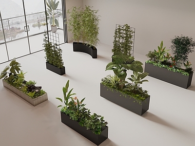 现代简约花箱 外摆绿植花箱 植物堆 花池 植物组合